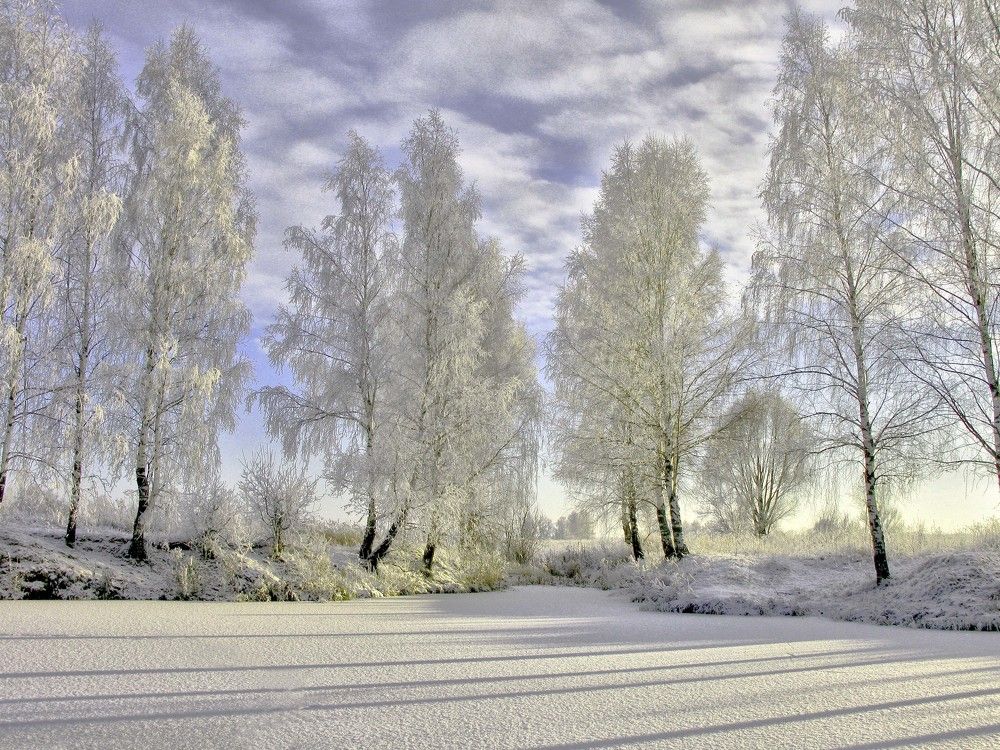 Photograph by Моложников Юрий