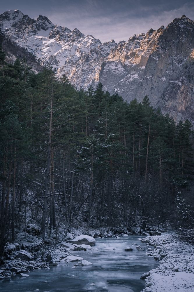 Царство зимы.