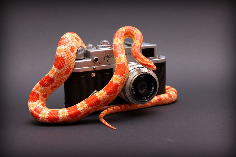 Photograph by Роман Белый