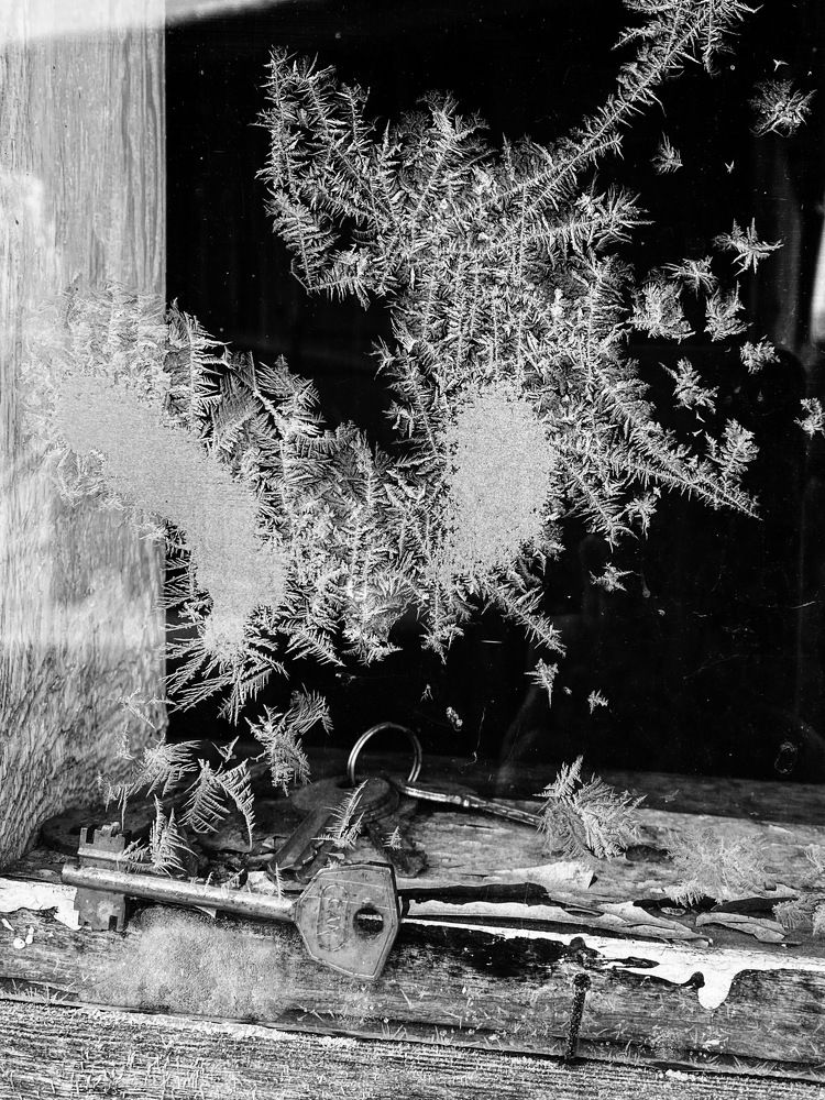 Photograph by Ирина Дубовцова