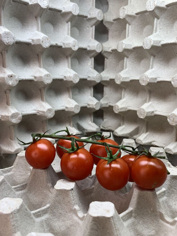 Photograph by Анна Чекирева