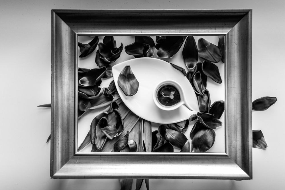 Photograph by Krzysztof Kąsek