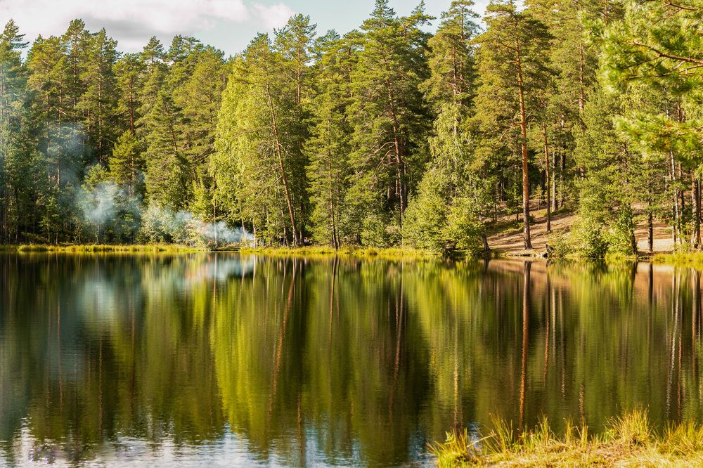 Photograph by Елена Павлова