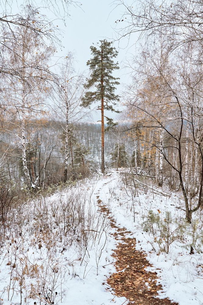 Photograph by Олег Архипов