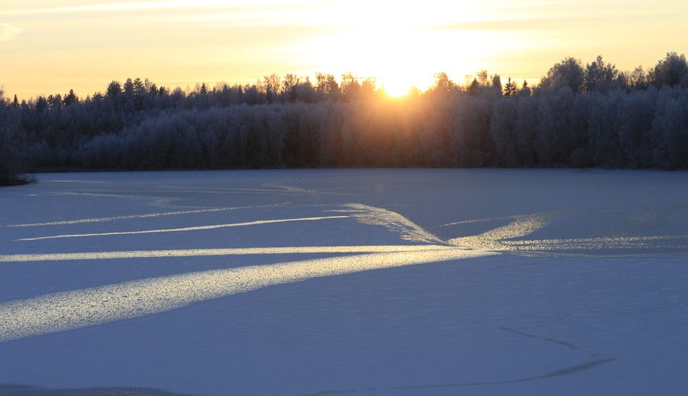 Photograph by Anna Grin