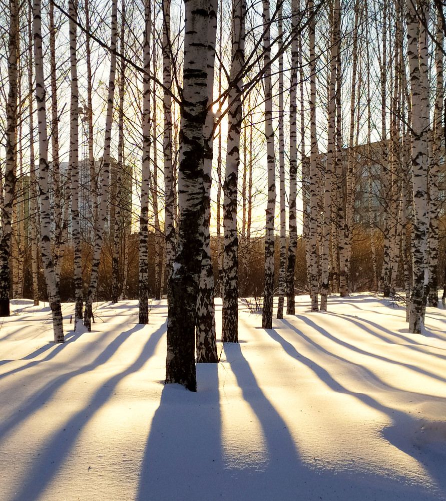 Photograph by Светлана Семенова