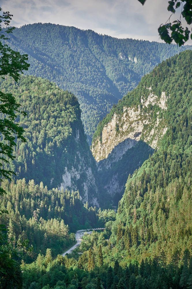 Photograph by Артем Большаков