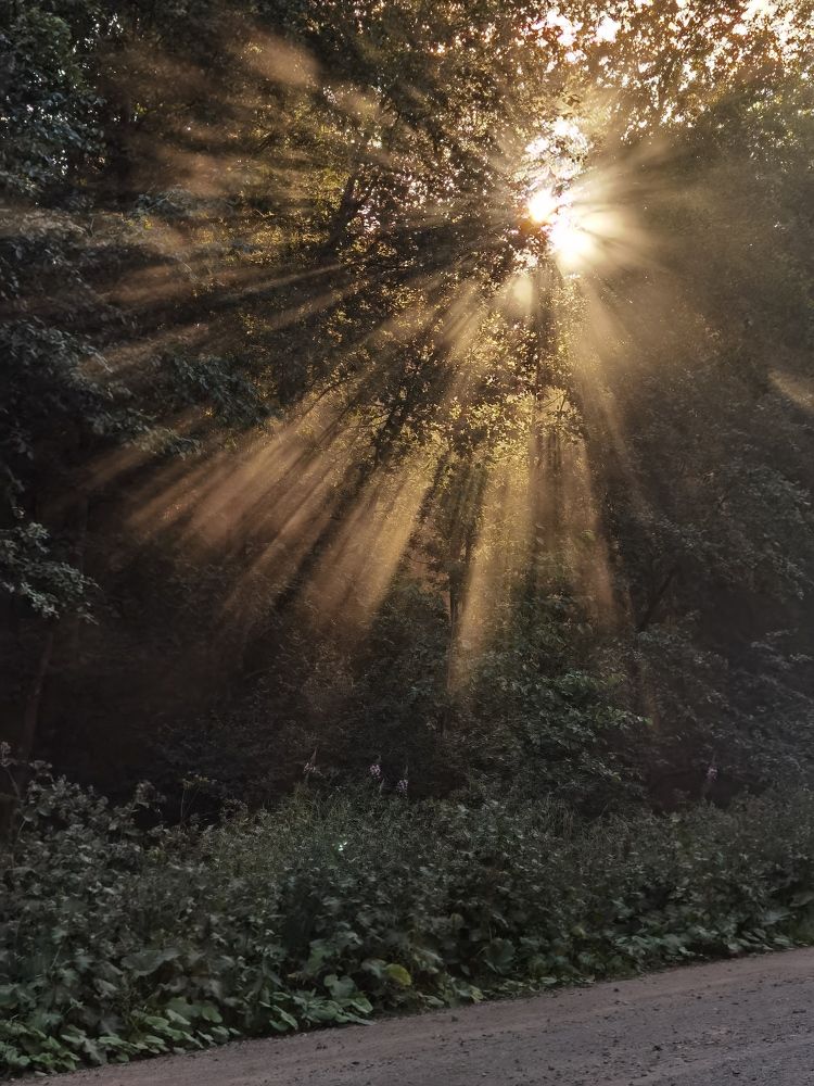 Photograph by Екатерина