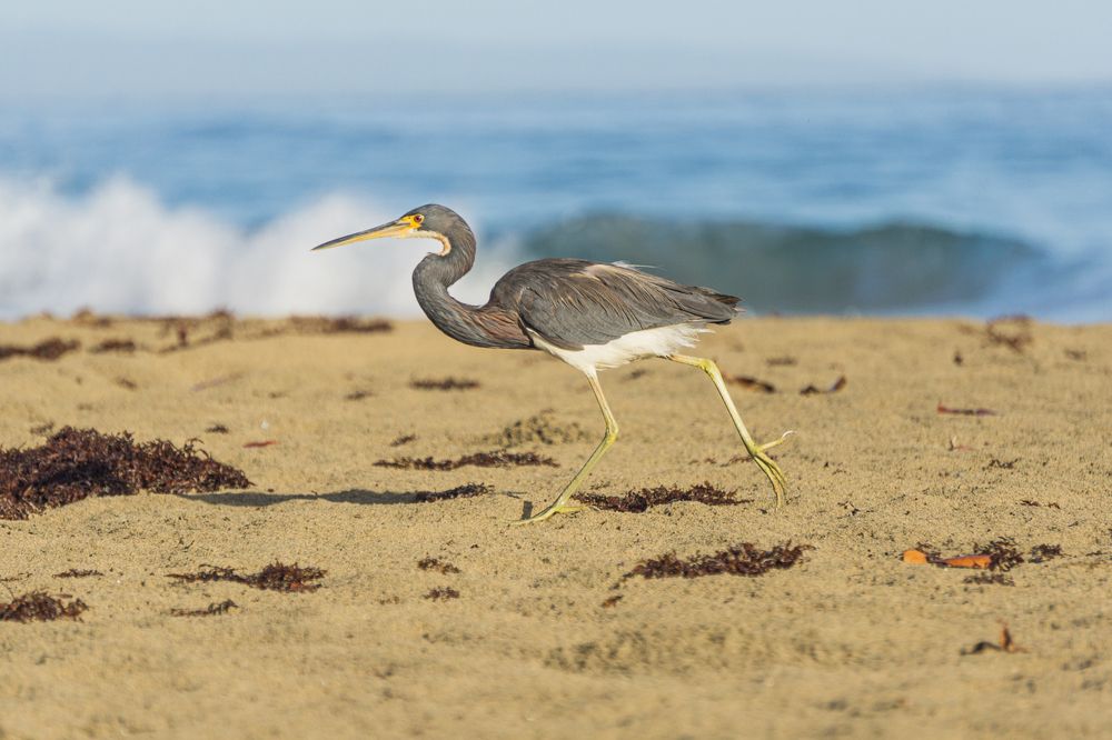 Photograph by Monica Molina