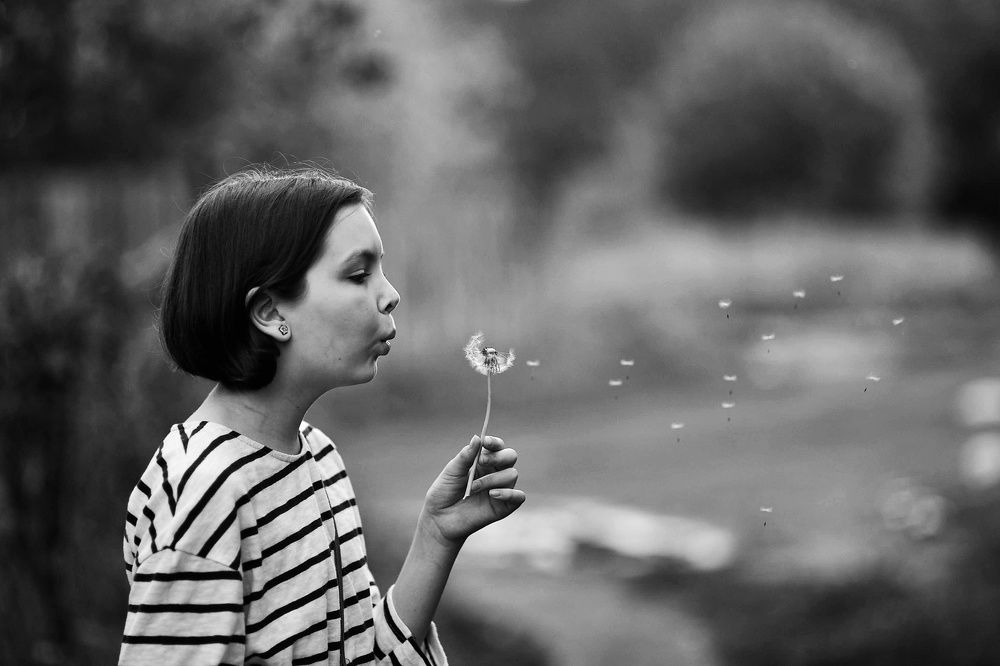 Photograph by 