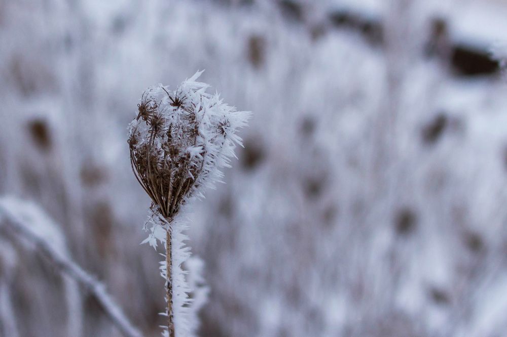 Фотография автора Minja Jovetic