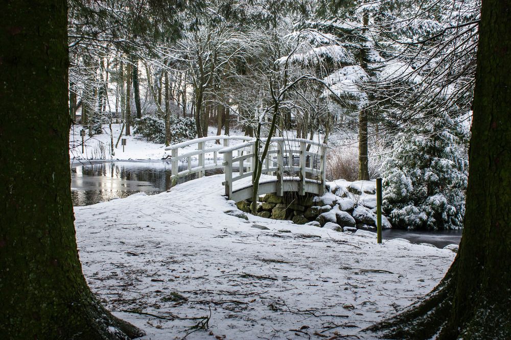 Фотография автора Minja Jovetic