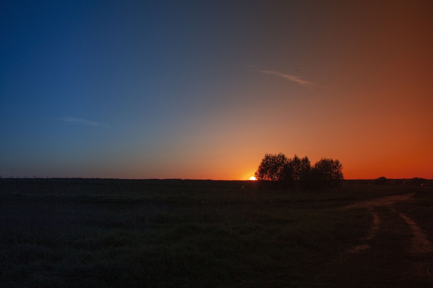 Photo #8508062