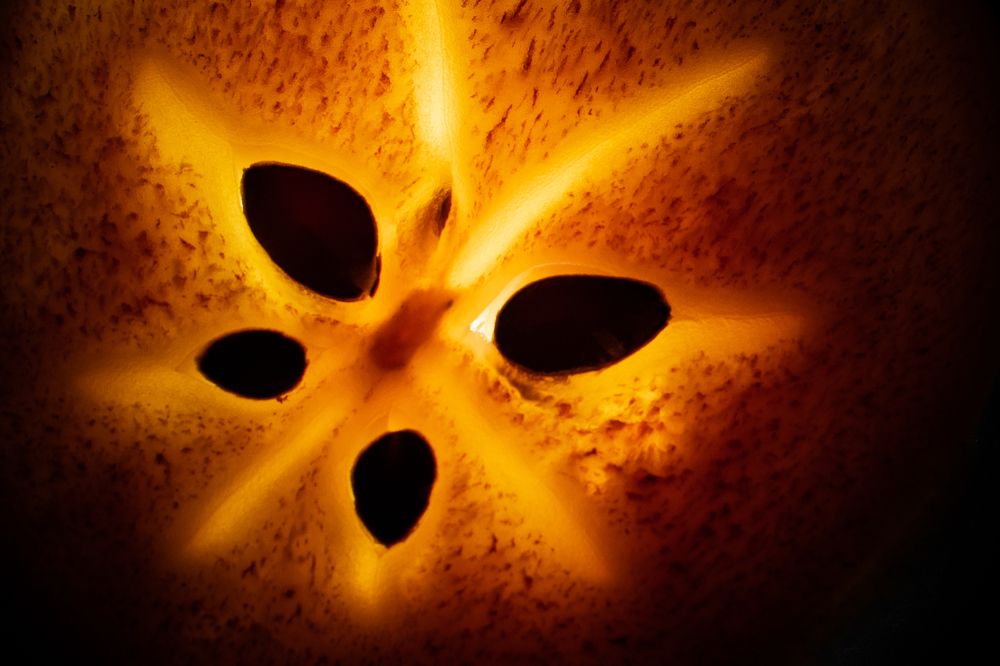 Фотография автора Войнов Дмитрий