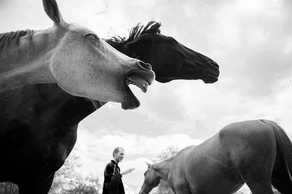 Photograph by Ольга