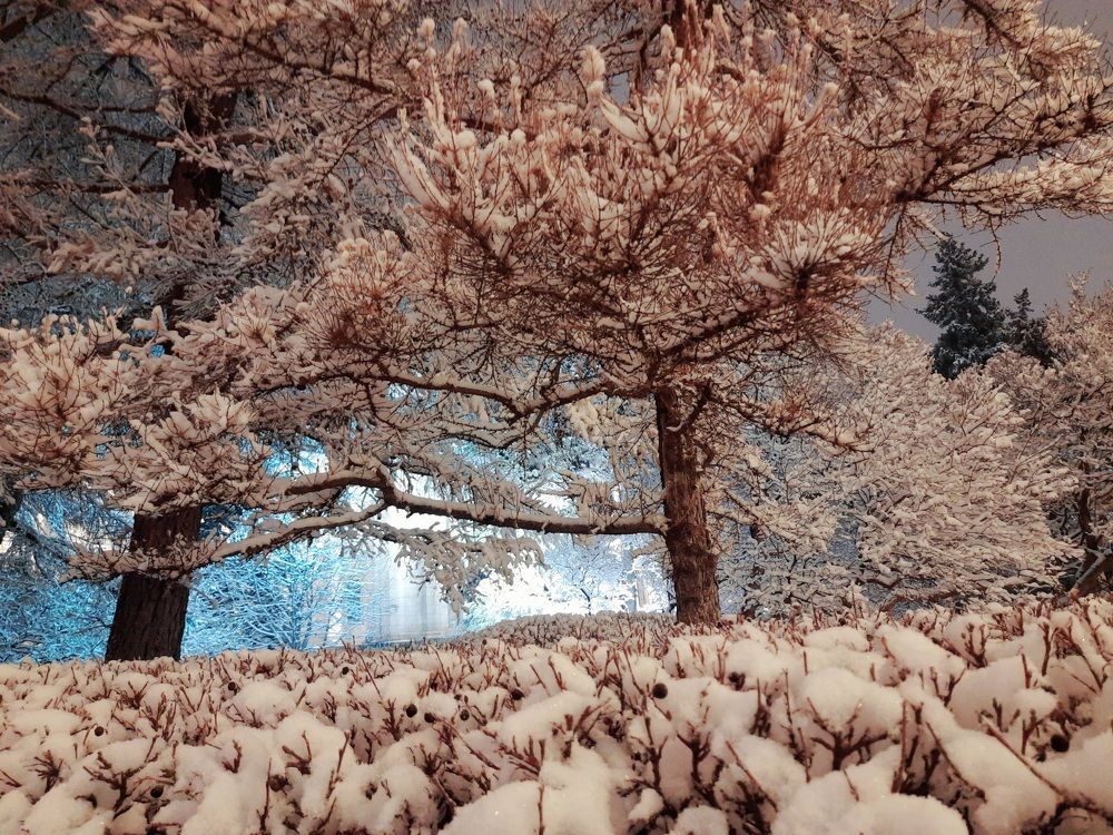 Photograph by Анжелика Гарина