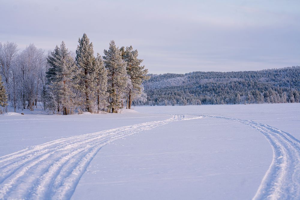 Photograph by Ирина Баландина