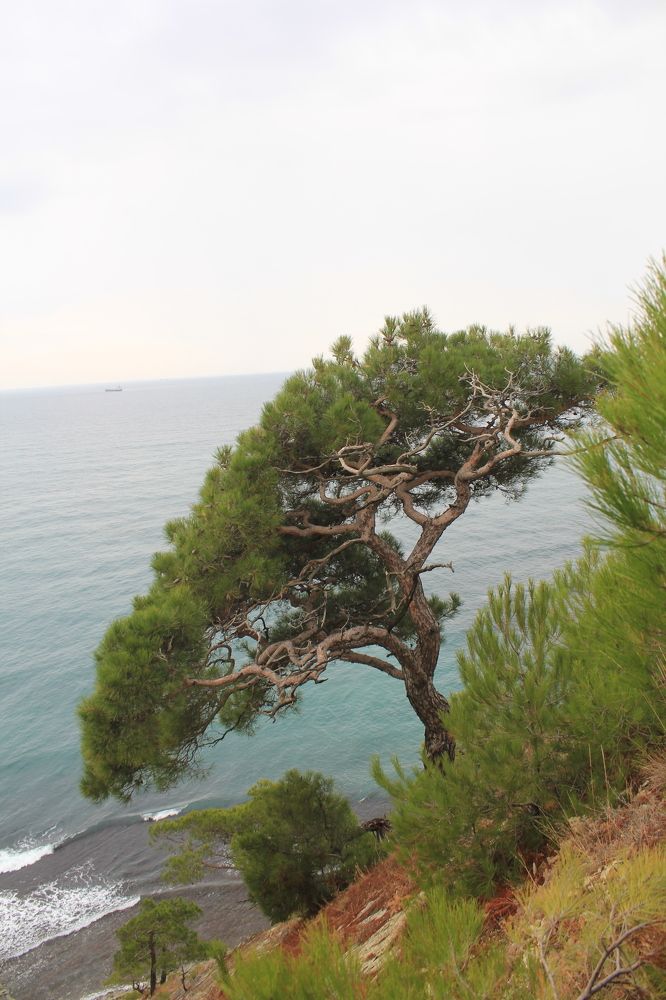 Photograph by Владимир