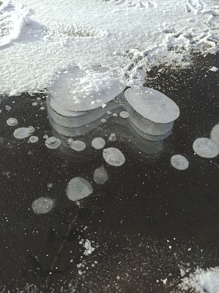 Photograph by Анна Давыдова