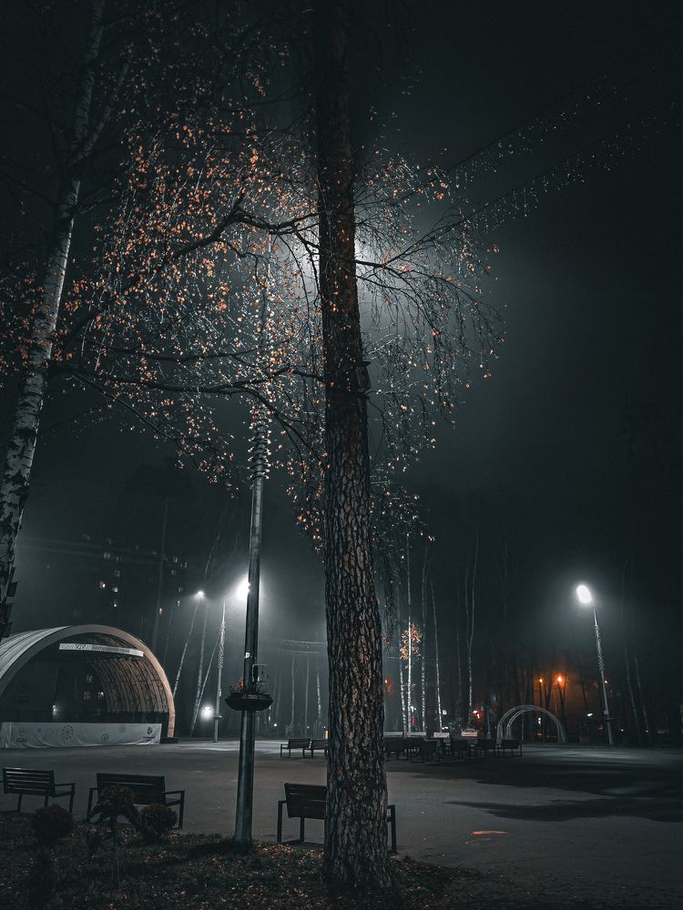 Photograph by Влад Апанасов