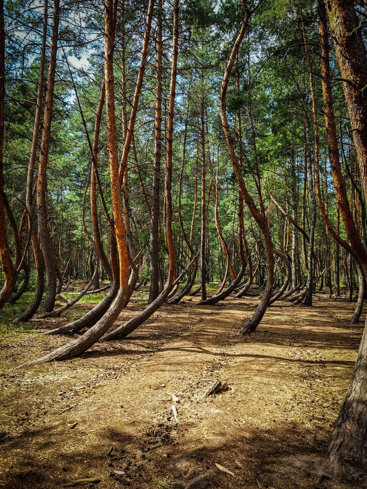 Photograph by Влад Апанасов