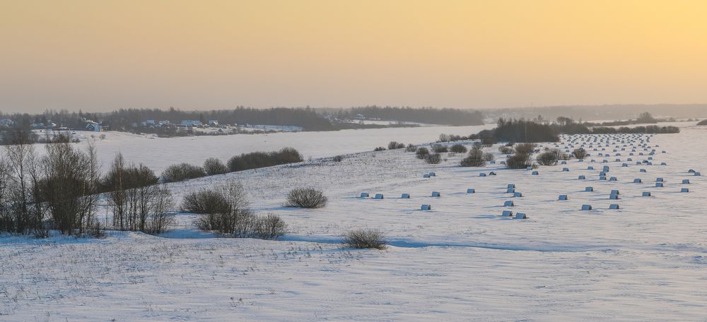 Photograph by Полина Ардашева