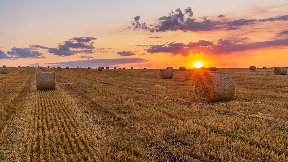 Фотография автора Николай Бологов