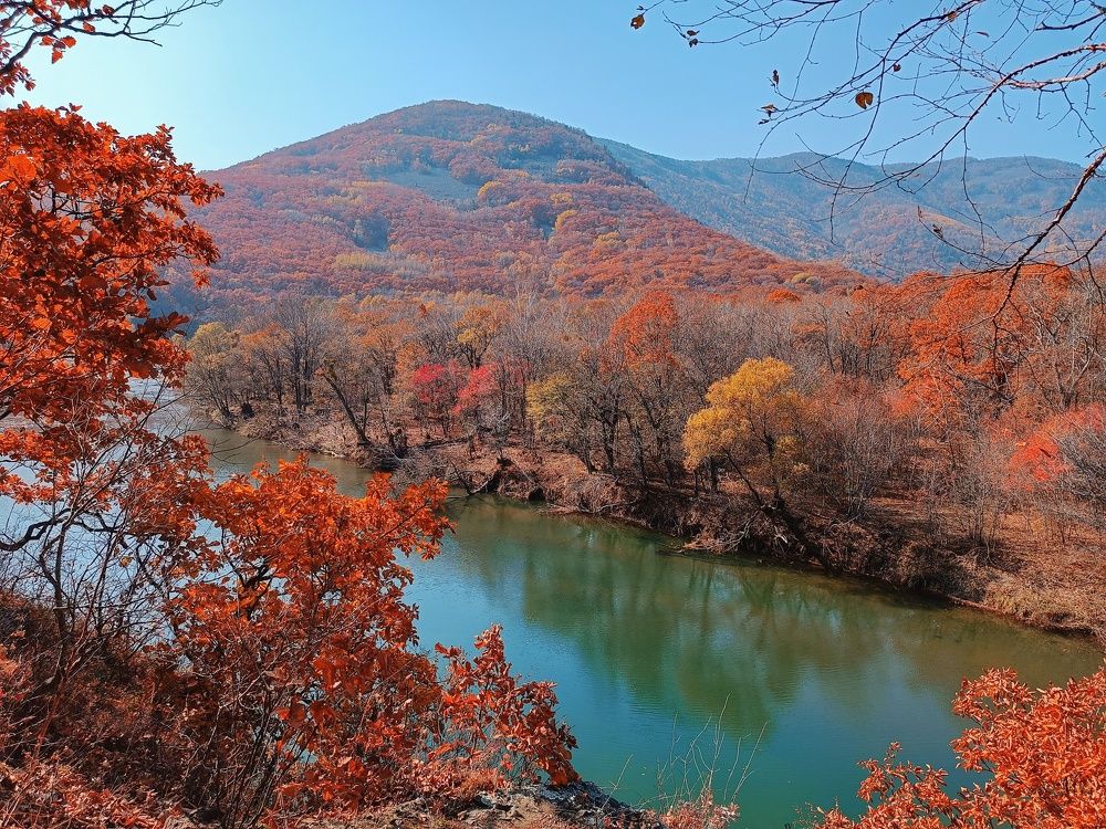 Photograph by Екатерина Цвиркунова