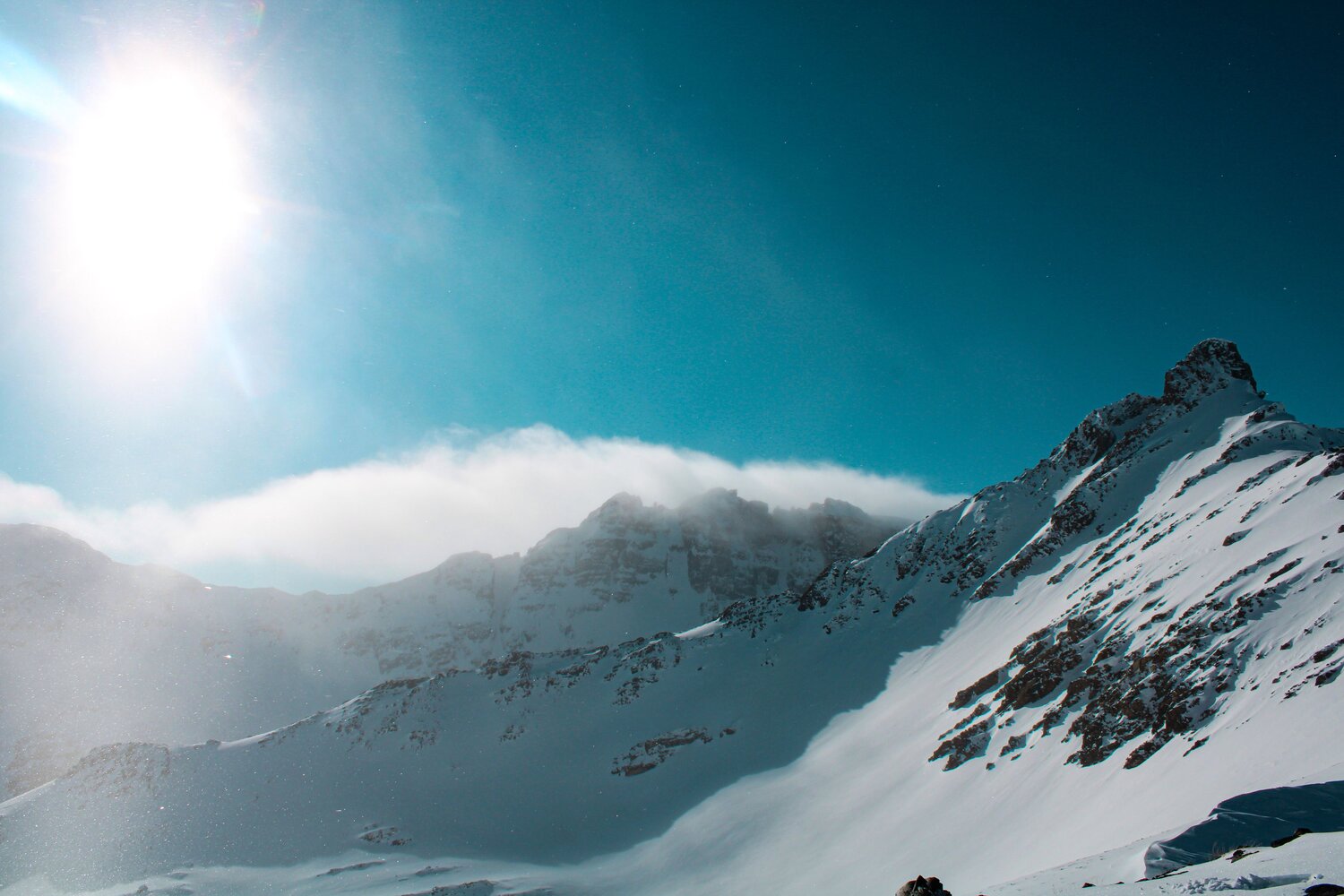 Photo #8508408