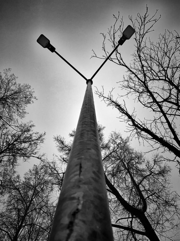 Photograph by Анна Чекирева