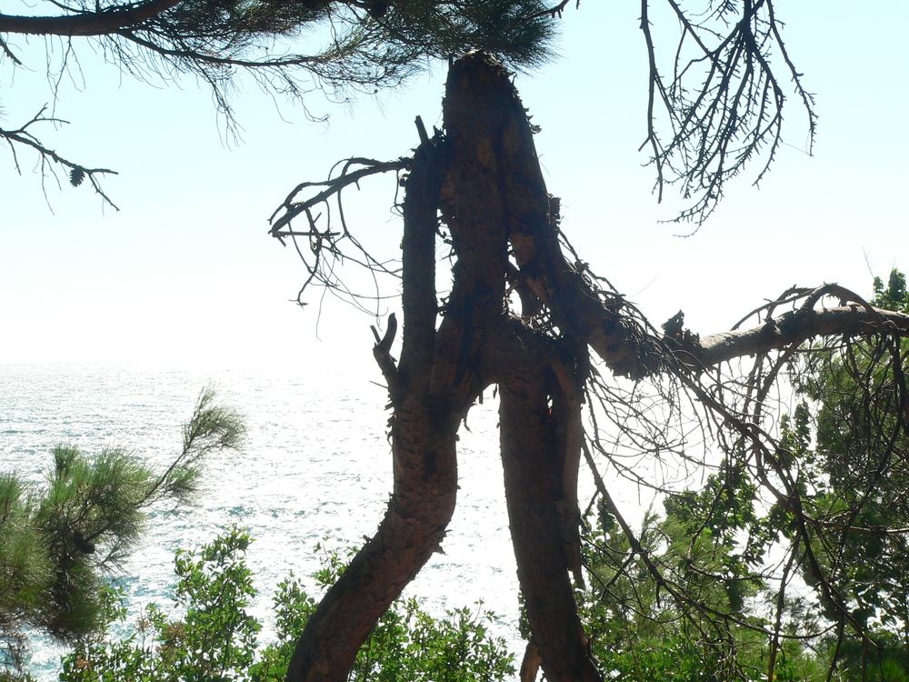 Photograph by Александр Александрович Жуков