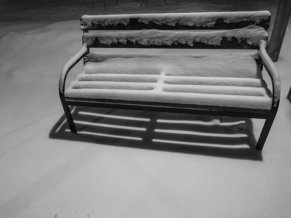 Photograph by Елена Шахова