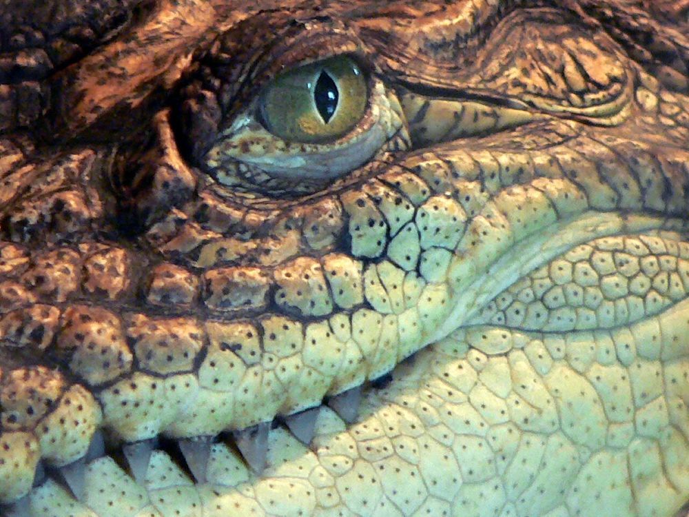 Photograph by Александр Александрович Жуков