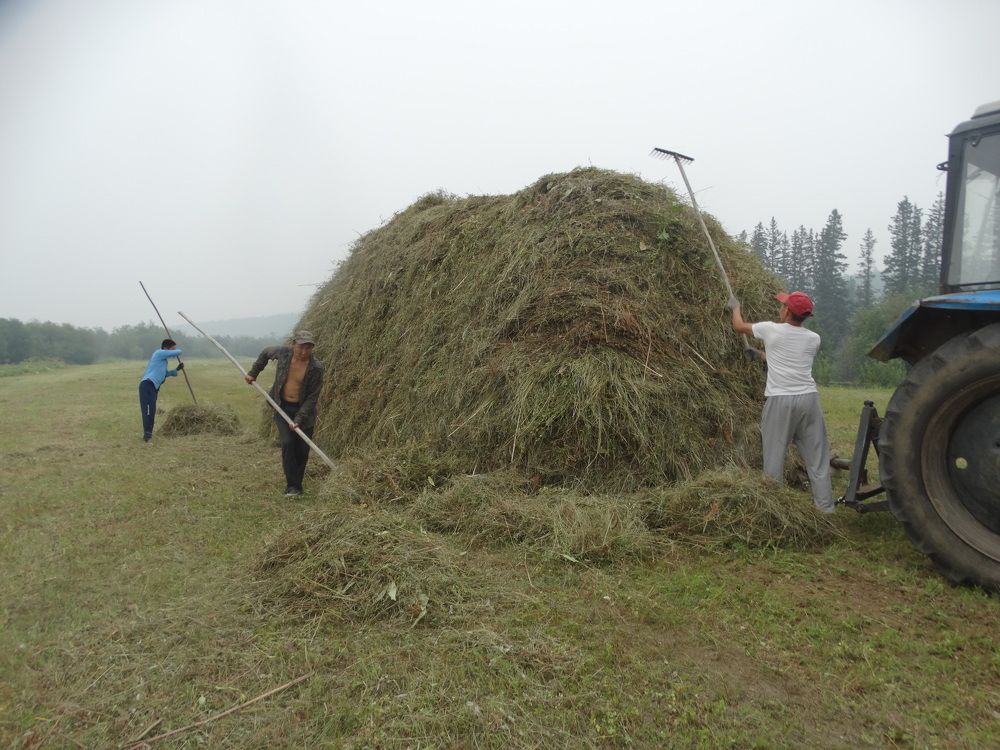 Photograph by Марина Ноговицына