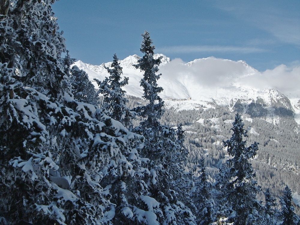 Фотография автора Сергей Барановский