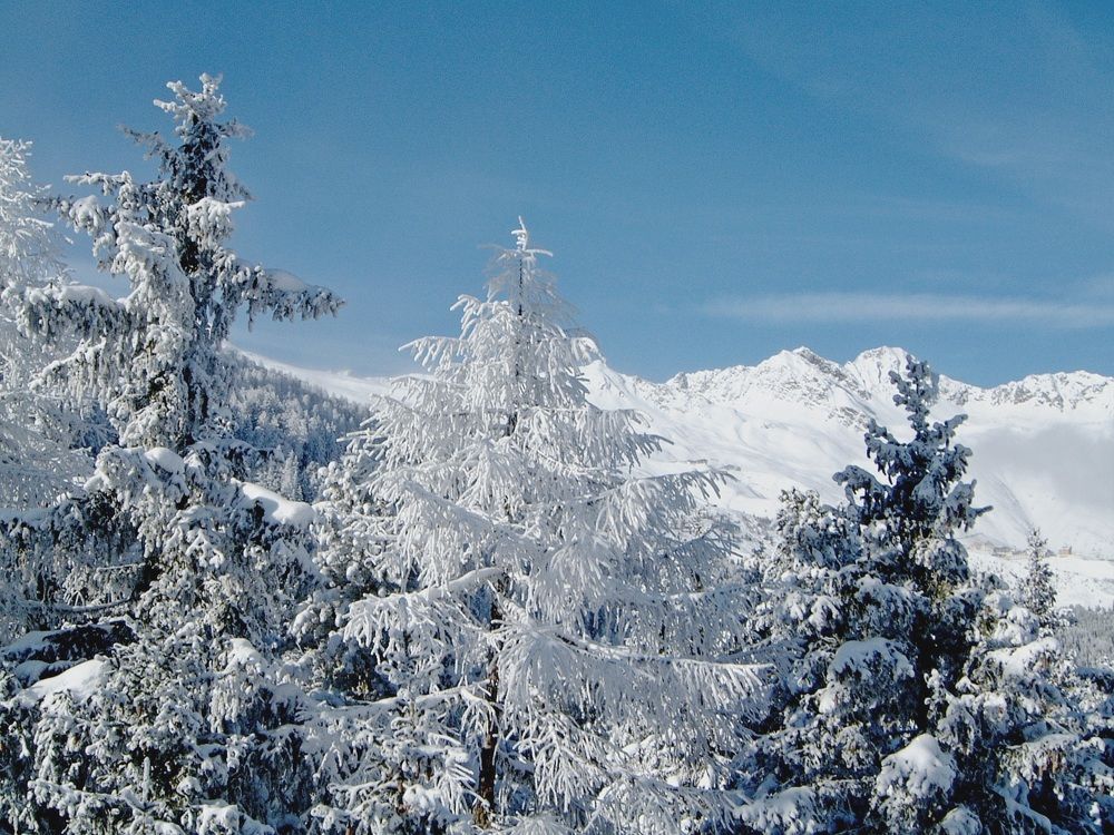 Фотография автора Сергей Барановский