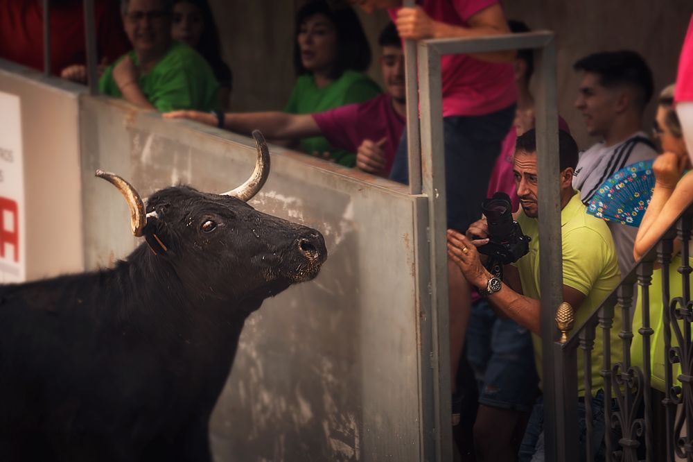 Photograph by Alberto Alonso