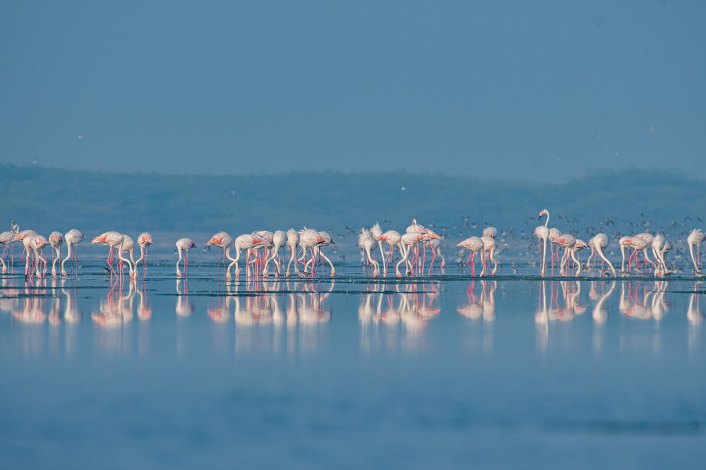 Фотография автора Anandhu M