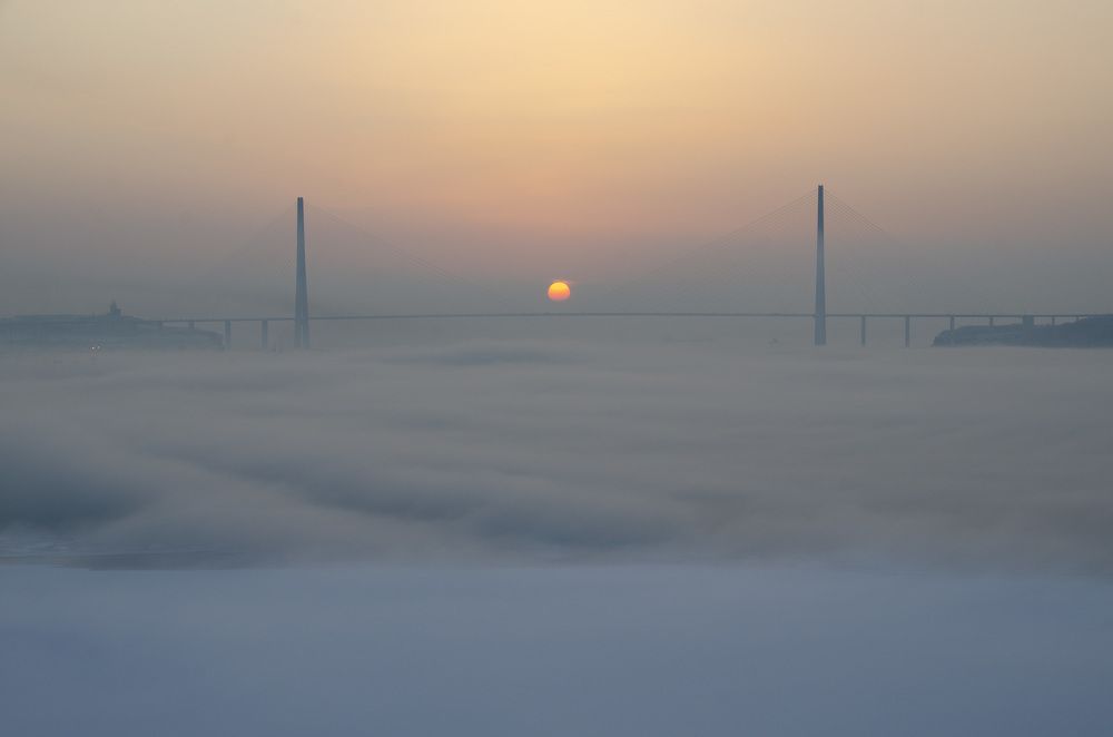 Photograph by Alex Mikh