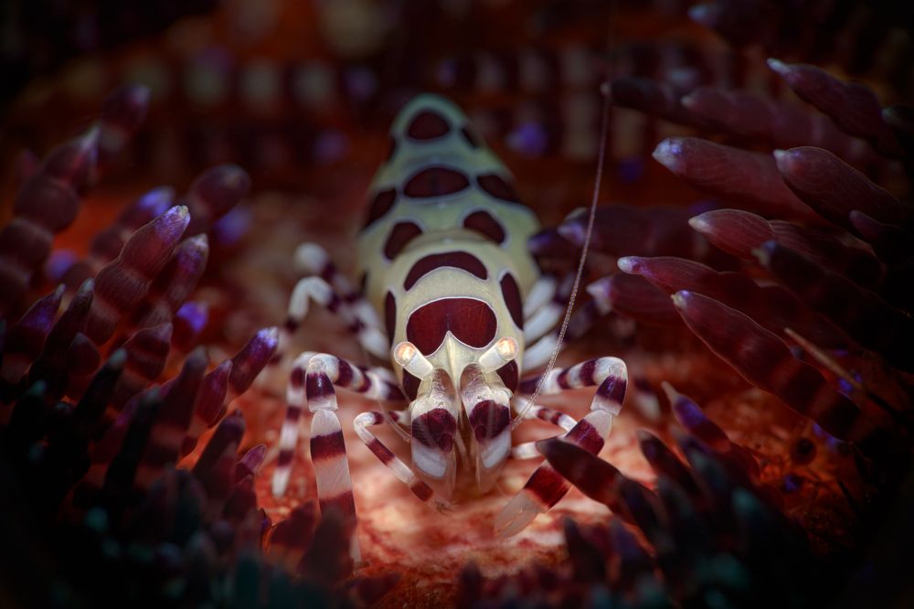 Photograph by Савин Андрей