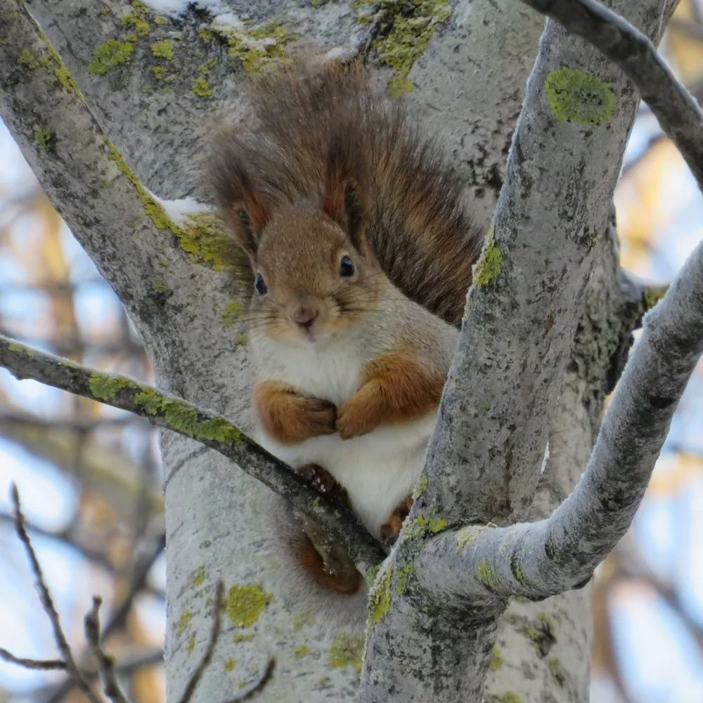 Photograph by Елена