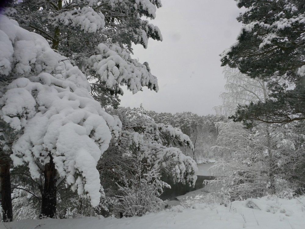 Photograph by Александр Подгорный