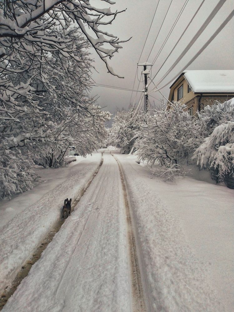 Photograph by Наталья Романова