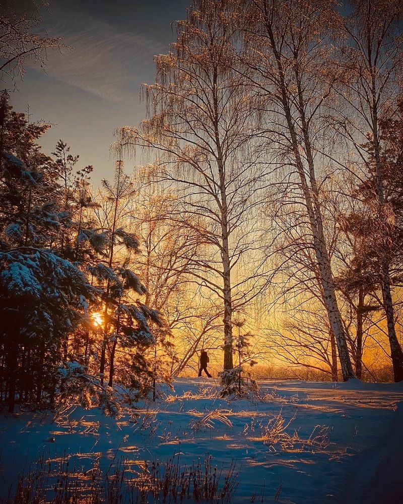 Photograph by Evgenia Privalova