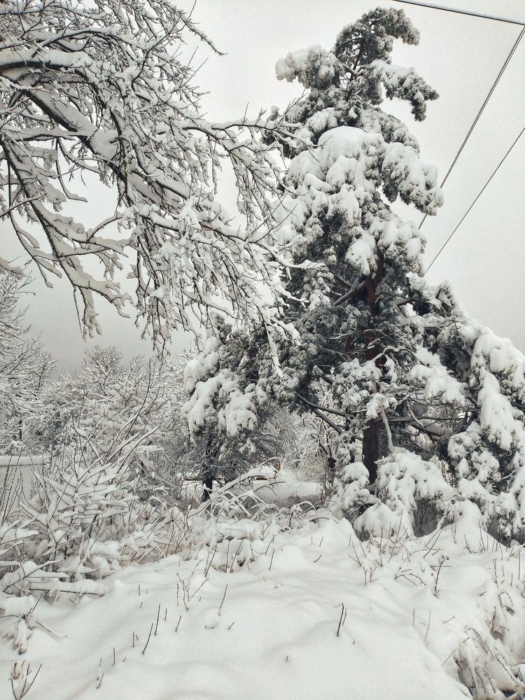 Photograph by Наталья Романова