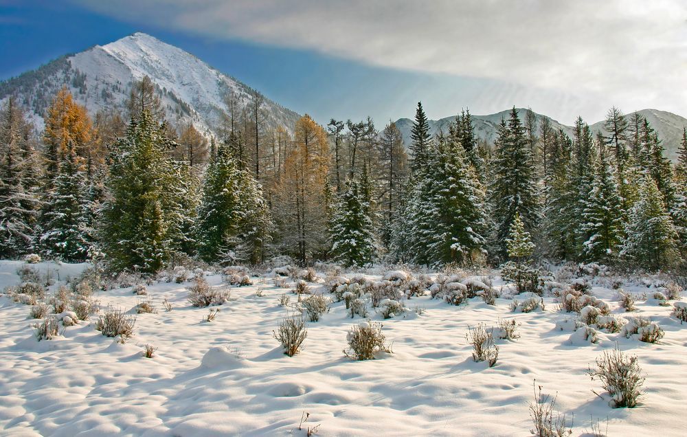 Photograph by Юрий Борик