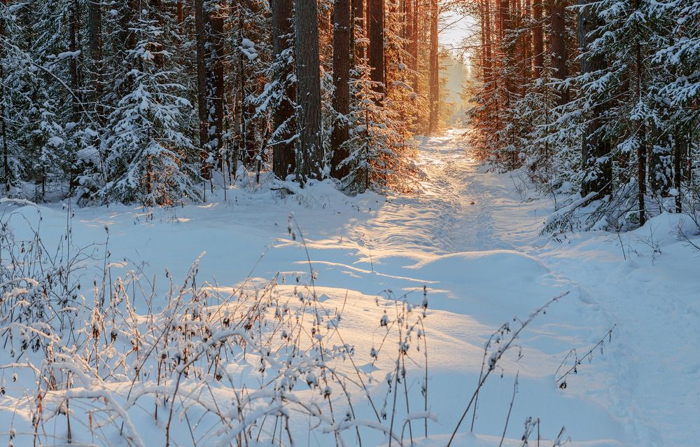 Photograph by Воинков Виктор