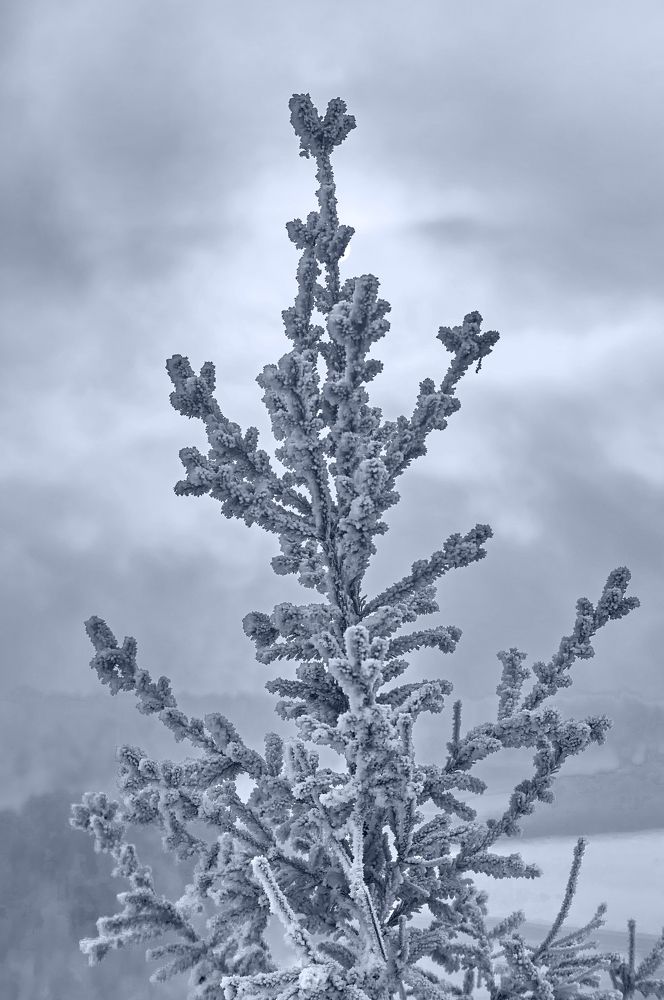 Photograph by Александр Пургин