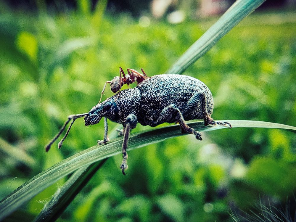 Photograph by Kate Maximenko