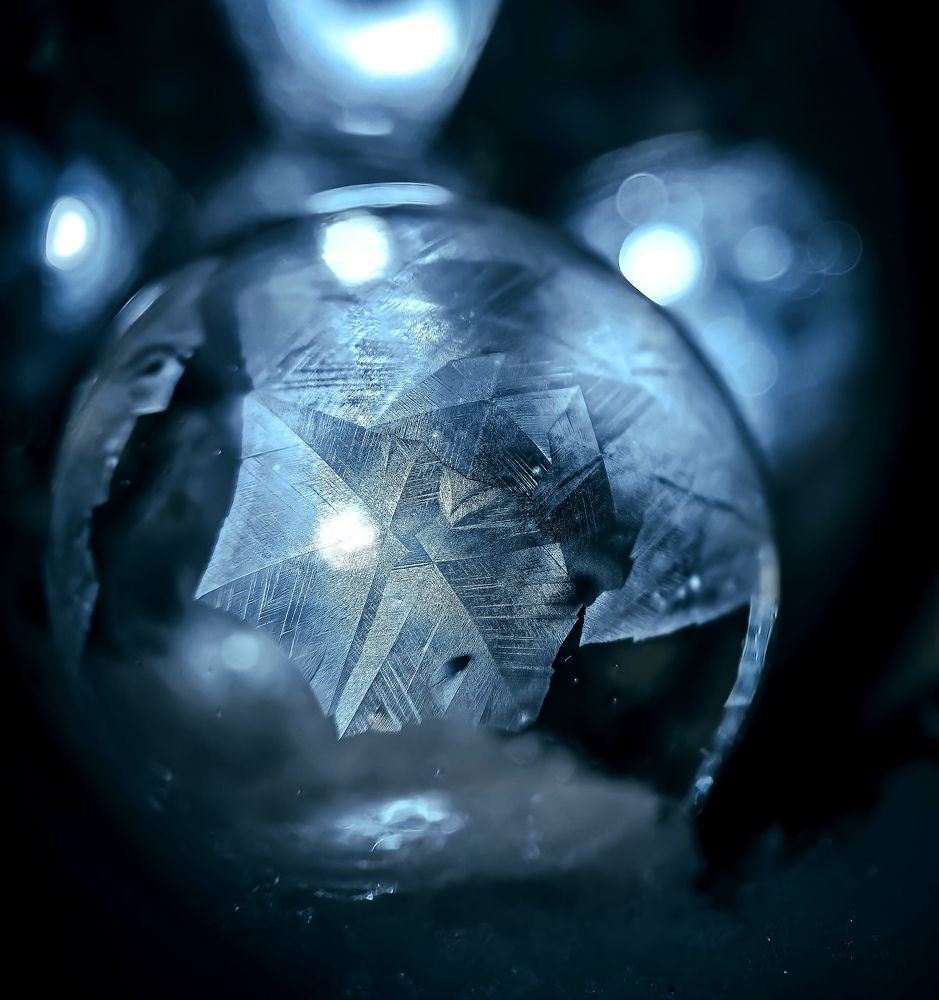 Photograph by Kate Maximenko